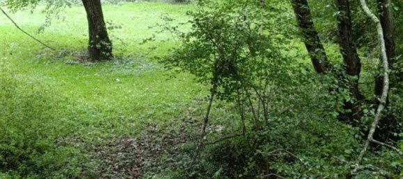 8 rooms House in Vicq-sur-Nahon, France No. 39091 18