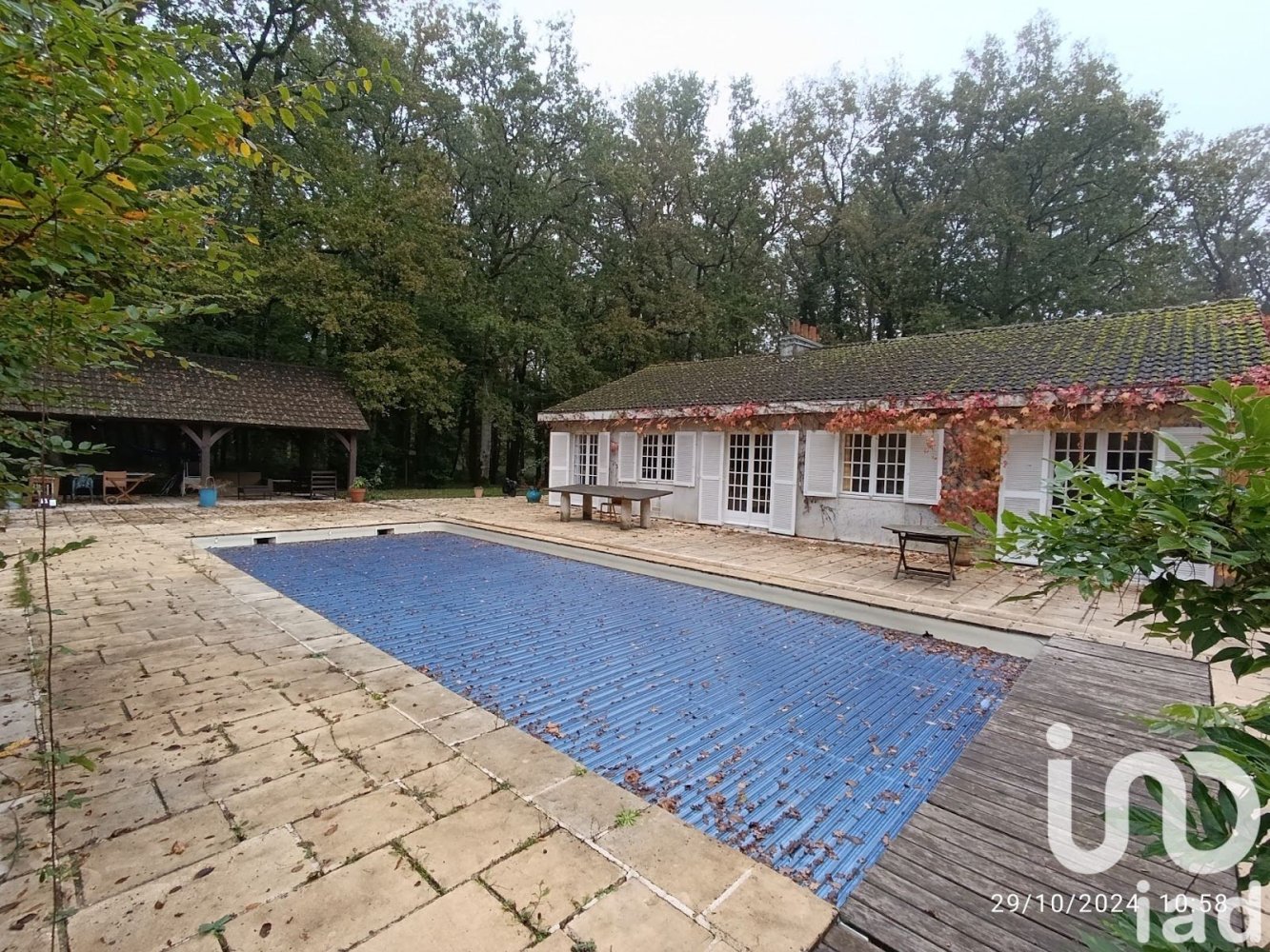 8 rooms House in Vicq-sur-Nahon, France No. 39091