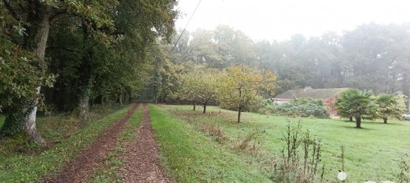 8 rooms House in Vicq-sur-Nahon, France No. 39091 20