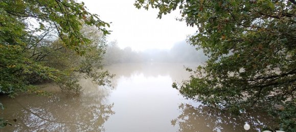 8 rooms House in Vicq-sur-Nahon, France No. 39091 15