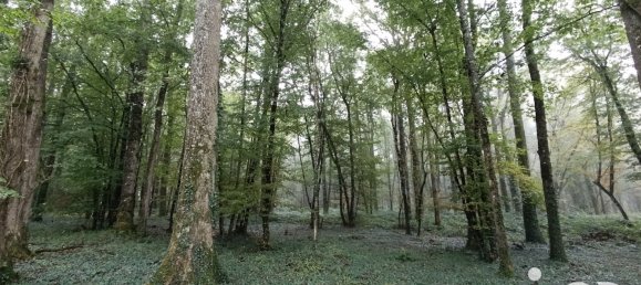 8 rooms House in Vicq-sur-Nahon, France No. 39091 19