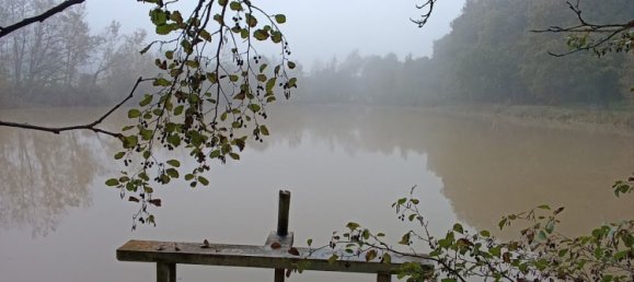 8 rooms House in Vicq-sur-Nahon, France No. 39091 14