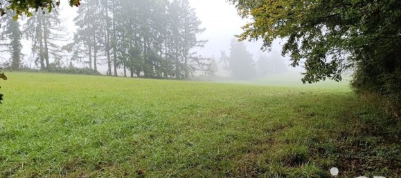 8 rooms House in Vicq-sur-Nahon, France No. 39091 17