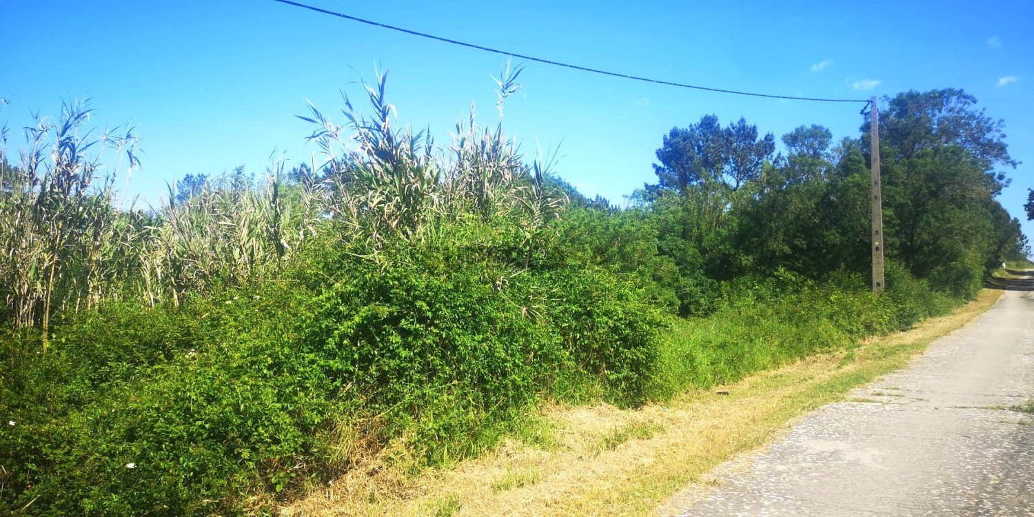  Land in Mafra, Portugal No. 344891