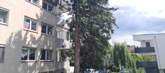 3 rooms Apartment in Waltendorf, Austria No. 43623 7