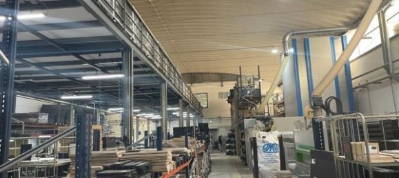 Lagerhaus in Cortegaca, Portugal 1700m², Nr. 60812 10