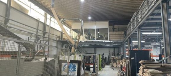 Lagerhaus in Cortegaca, Portugal 1700m², Nr. 60812 9