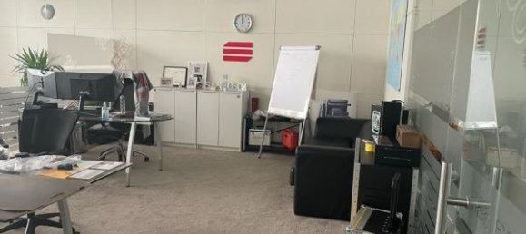 Lagerhaus in Cortegaca, Portugal 1700m², Nr. 60812 13