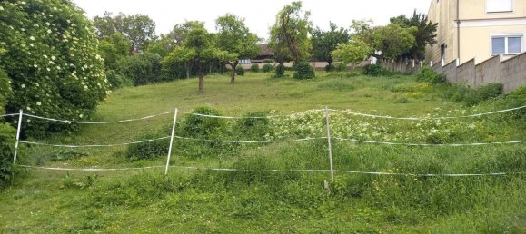 Grundstück in Sigleß, Austria 1712m², Nr. 241105 6