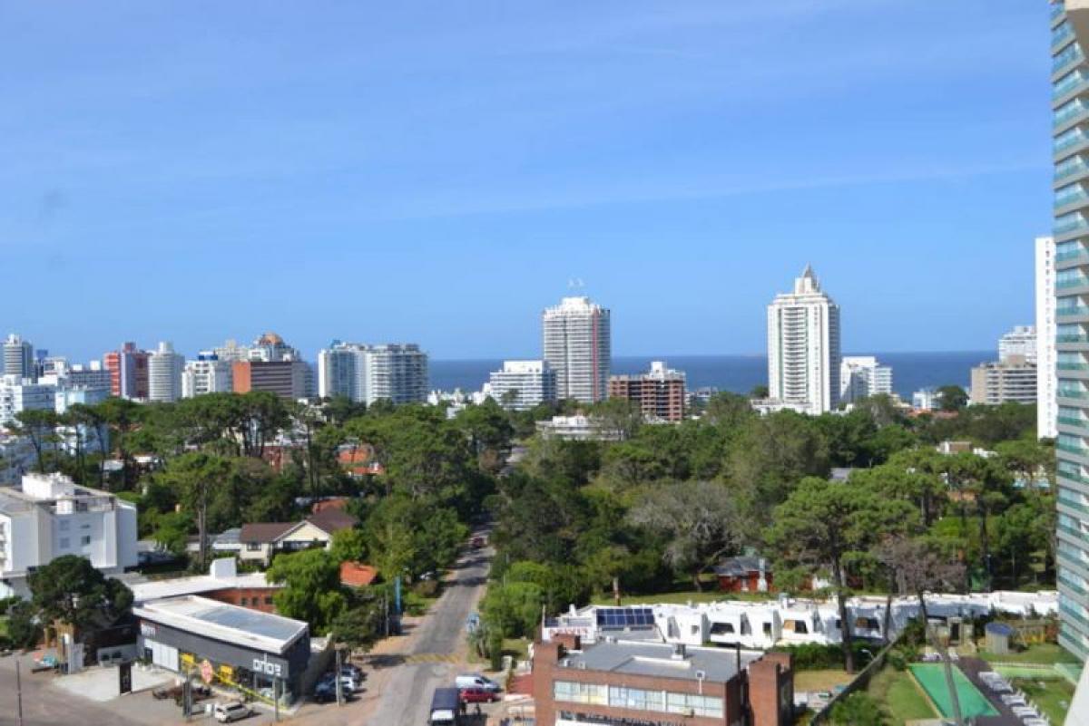 Studio in Maldonado, Uruguay, Nr. 10828