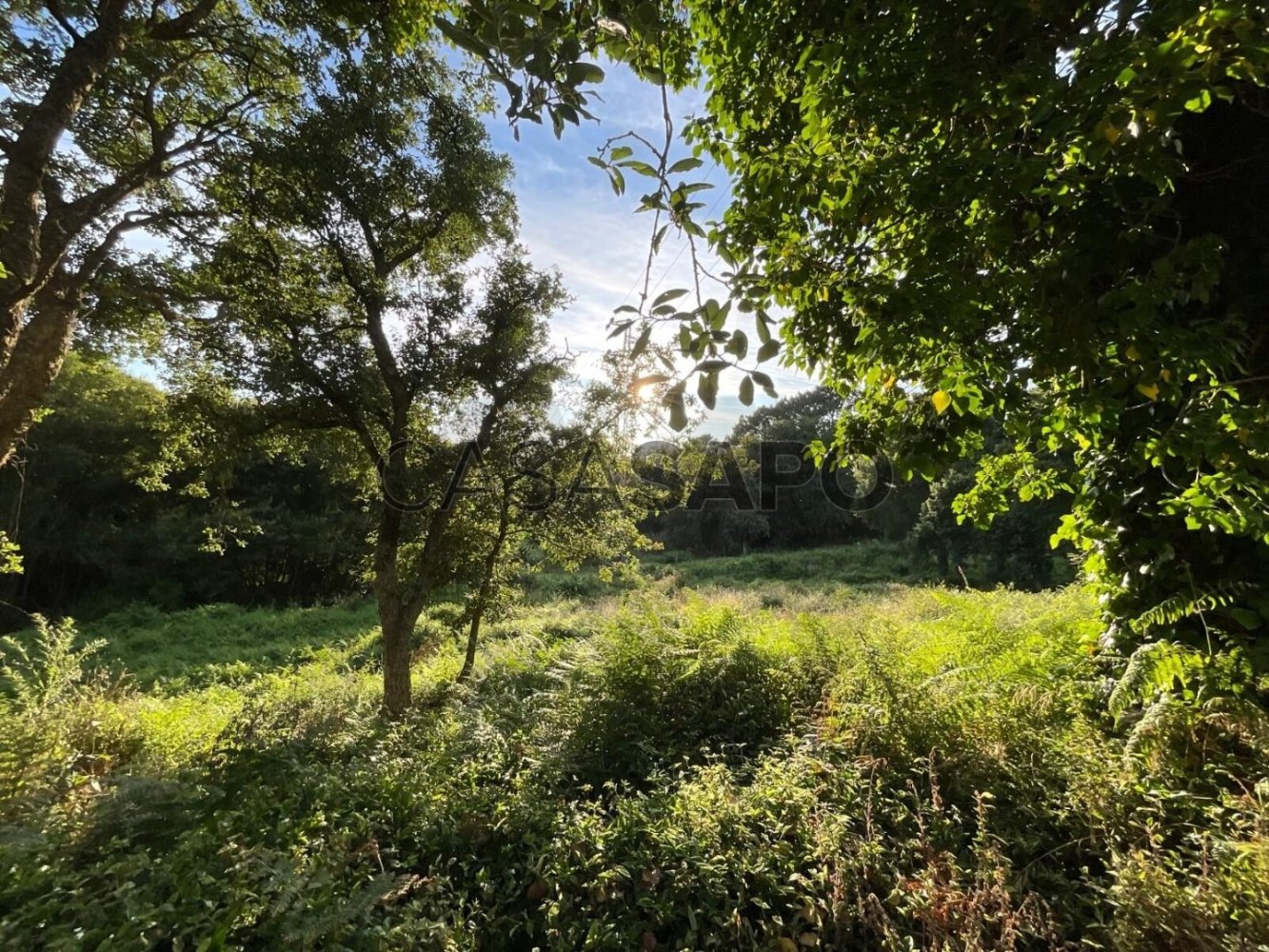 Земельный участок в Анташ, Португалия № 215972