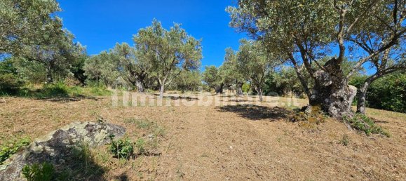 3200m² Land in Stalettì, Italy No. 149308 11