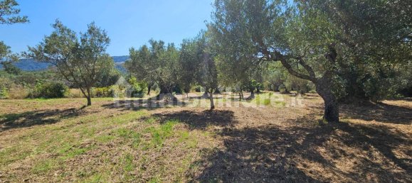 3200m² Land in Stalettì, Italy No. 149308 8
