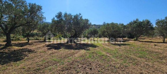 3200m² Land in Stalettì, Italy No. 149308 4