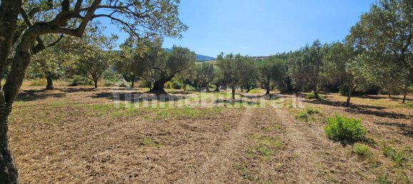 3200m² Land in Stalettì, Italy No. 149308 5