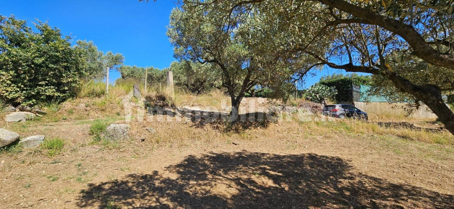 3200m² Land in Stalettì, Italy No. 149308