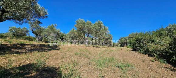 3200m² Land in Stalettì, Italy No. 149308 14