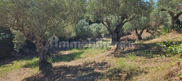 3200m² Land in Stalettì, Italy No. 149308 7