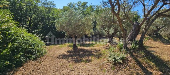 3200m² Land in Stalettì, Italy No. 149308 10