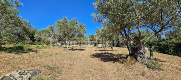 3200m² Land in Stalettì, Italy No. 149308 2