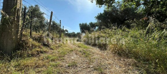 3200m² Land in Stalettì, Italy No. 149308 3