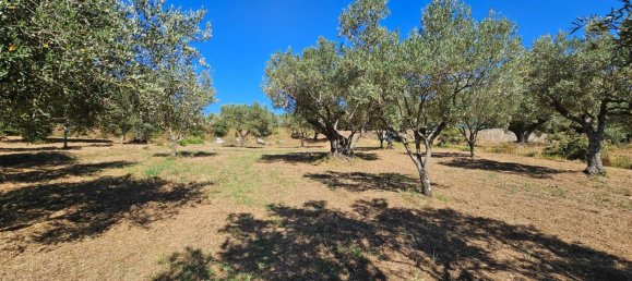 3200m² Land in Stalettì, Italy No. 149308 9