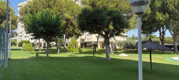 3 bedrooms Apartment in Alicante, Spain No. 167974 14