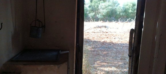 7030m² Land in Petra, Spain No. 190666 8