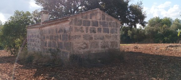 7030m² Land in Petra, Spain No. 190666 9