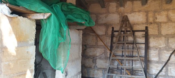 7030m² Land in Petra, Spain No. 190666 11