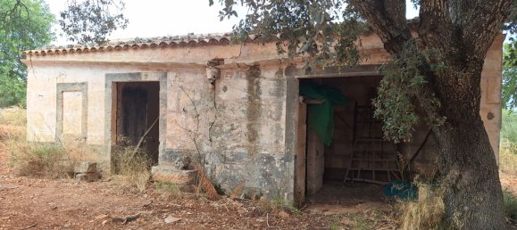 7030m² Land in Petra, Spain No. 190666 3