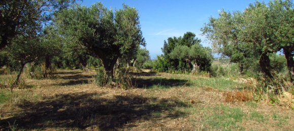 10670m² Land in Sciacca, Italy No. 282774 3