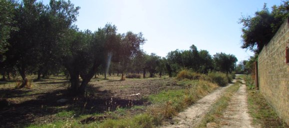 10670m² Land in Sciacca, Italy No. 282774 7