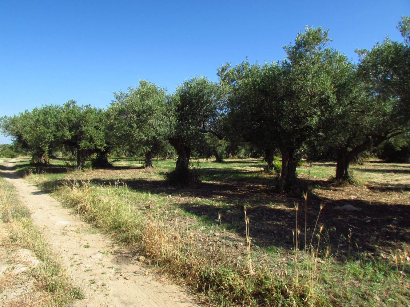 10670m² Land in Sciacca, Italy No. 282774