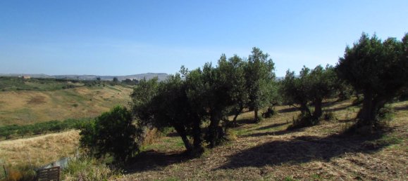 10670m² Land in Sciacca, Italy No. 282774 5