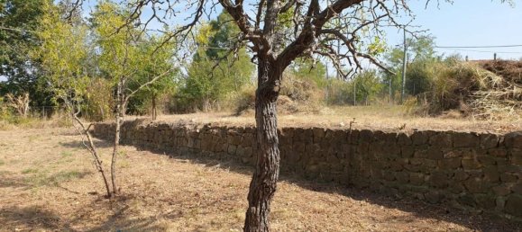 Дом с 11 комнатами в Гроссето, Италия № 49216 9