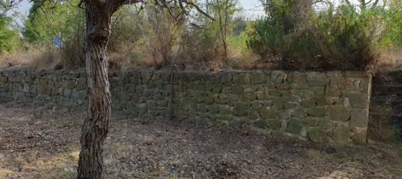 Дом с 11 комнатами в Гроссето, Италия № 49216 12