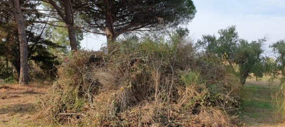 Дом с 11 комнатами в Гроссето, Италия № 49216 14