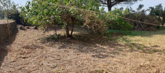 Дом с 11 комнатами в Гроссето, Италия № 49216 5