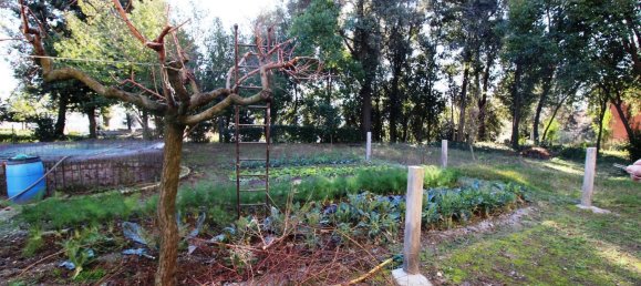 3 bedrooms House in Magliano di Tenna, Italy No. 352267 7