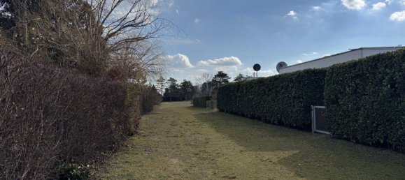 3 rooms Bungalow in Trausdorf an der Wulka, Austria No. 157301 12