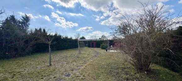 3 rooms Bungalow in Trausdorf an der Wulka, Austria No. 157301 11