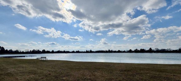 3 rooms Bungalow in Trausdorf an der Wulka, Austria No. 157301 14