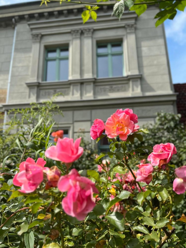 2 bedrooms Duplex in Barnim, Germany No. 369284