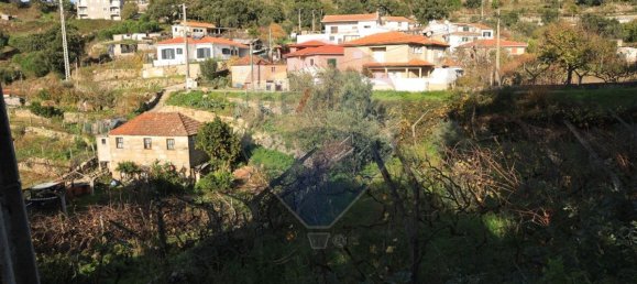 2 bedrooms House in Baiao, Portugal No. 25459 13