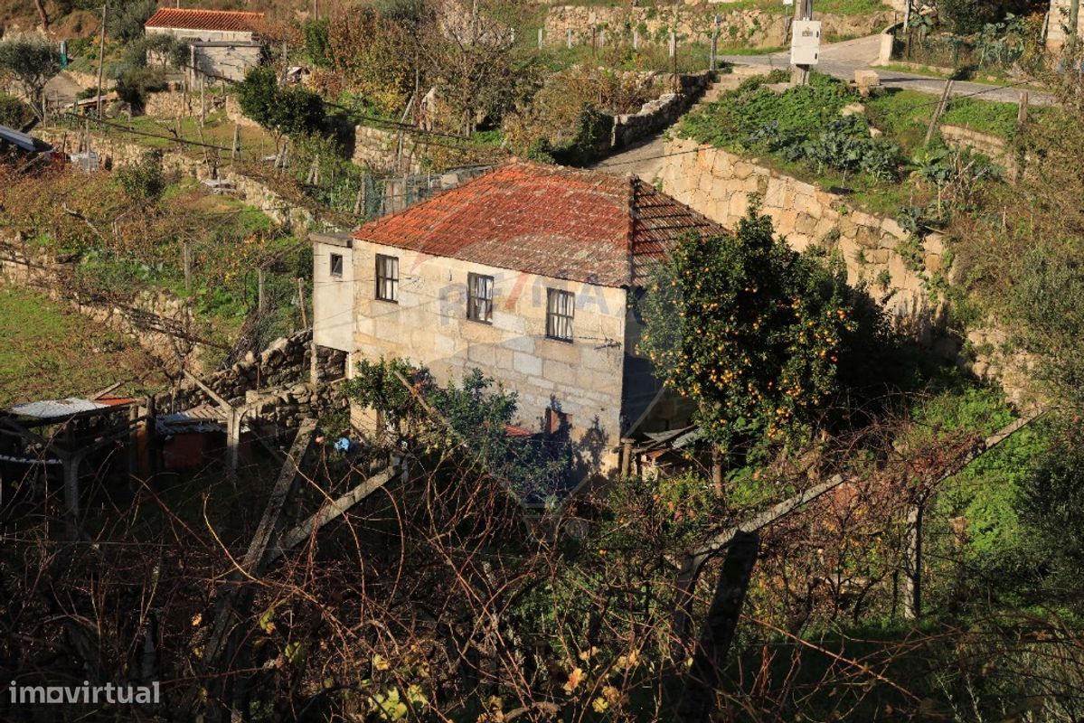 2 bedrooms House in Baiao, Portugal No. 25459