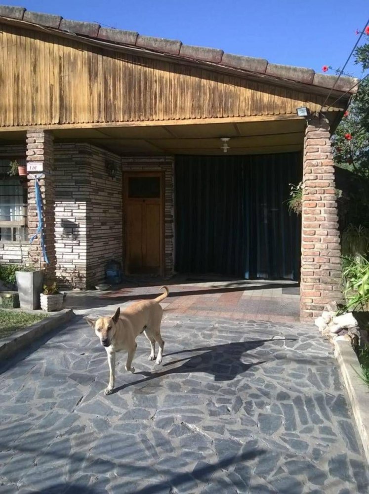 Estudio en Tigre, Argentina No. 56410