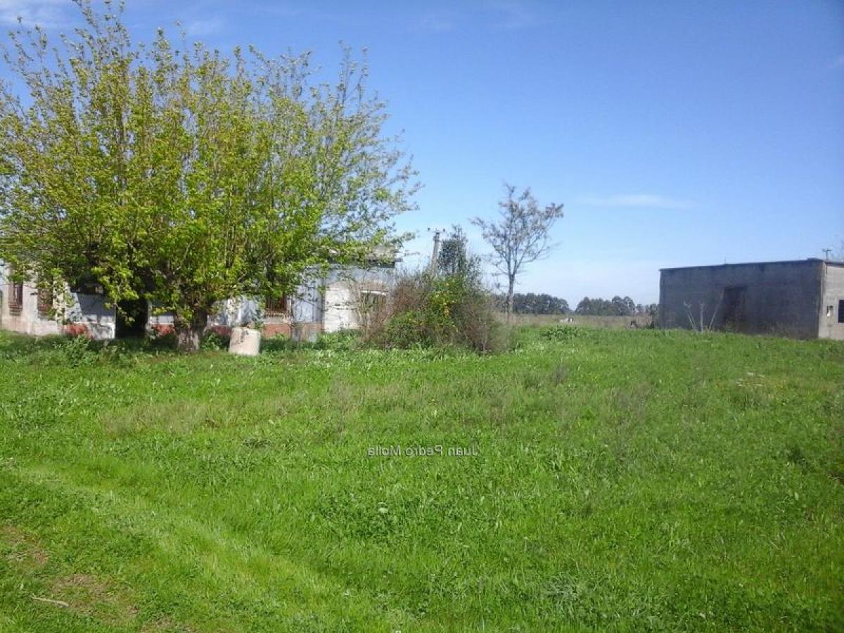  Land in Canelones, Uruguay No. 14769