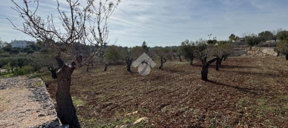 Studio in Monopoli, Italy, Nr. 140080 19