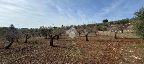 Studio in Monopoli, Italy, Nr. 140080 18